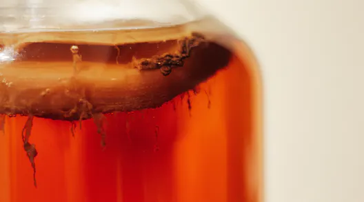 How To Make Gut-Loving Fermented Foods