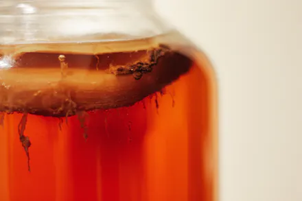 How To Make Gut-Loving Fermented Foods