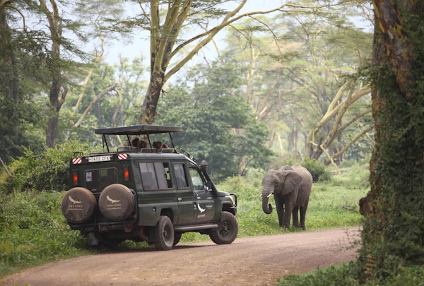 Ker Downey Ngorongoro Crater Lodge Game Drive