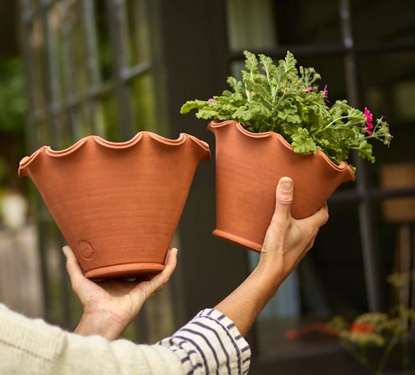 Eden Terracotta Pot, £18 Copy