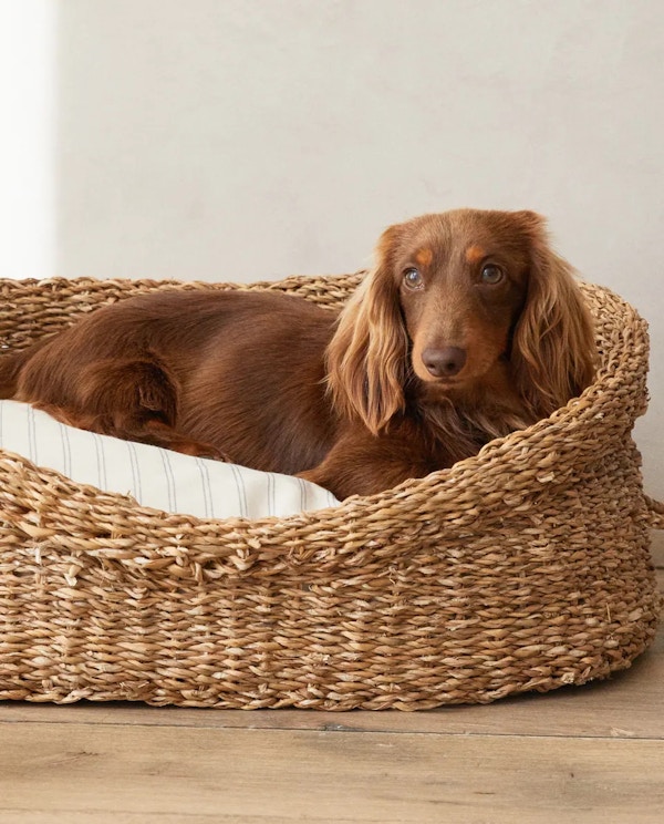 Woven Pet Basket, From £39.99 Copy