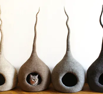 WoolyCatCaves