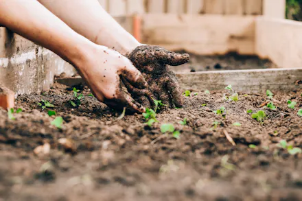 45 Gifts For Gardeners