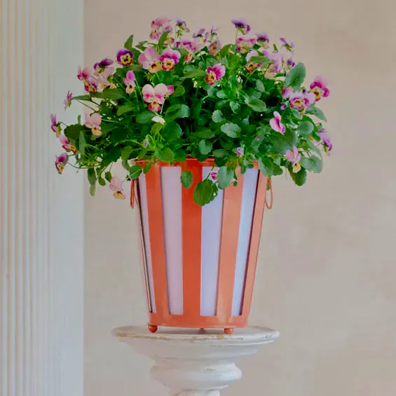 Matilda Goad Striped Planter, £65