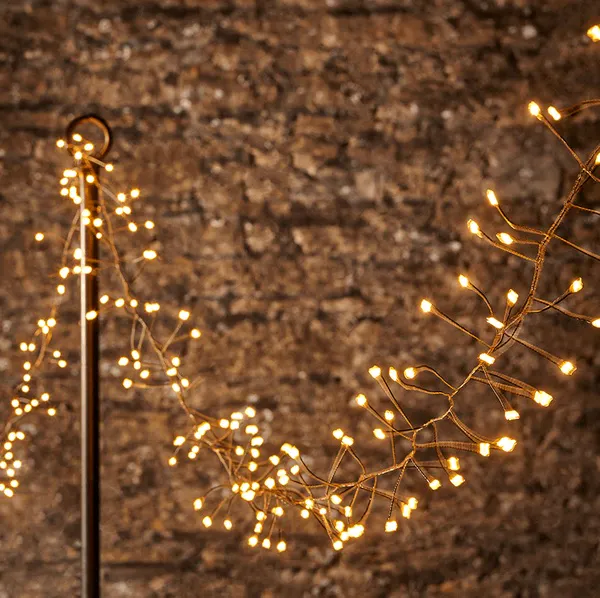 Cox & Cox Indoor Outdoor Naked Wire Cluster Twinkle Lights, £50