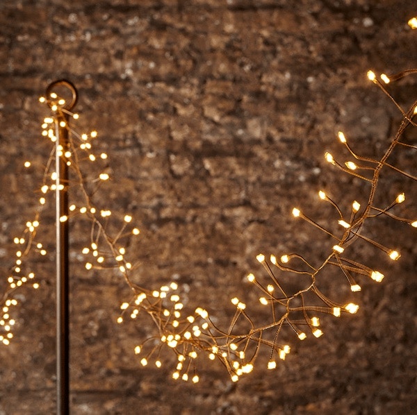 Cox & Cox Indoor Outdoor Naked Wire Cluster Twinkle Lights, £50