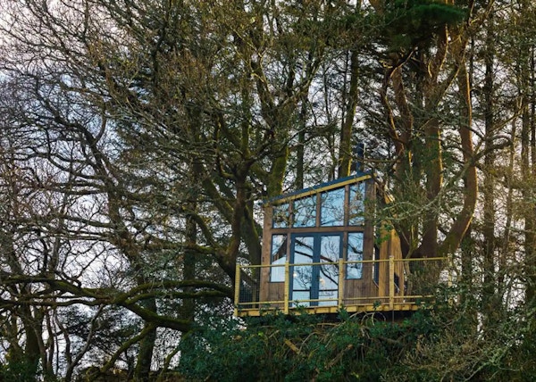 The Birdbox, Donegal Treehouse With Glenveagh View