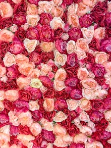 9 Uplifting Scents For Grey Days