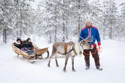 Ice, Ice Baby! 8 Family-friendly Holidays to Book This Winter