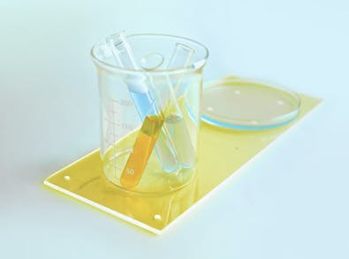 9 At-Home Health Check Kits