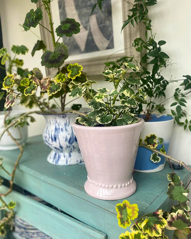 Willow Crossley Beaded Terracotta Pot, £48