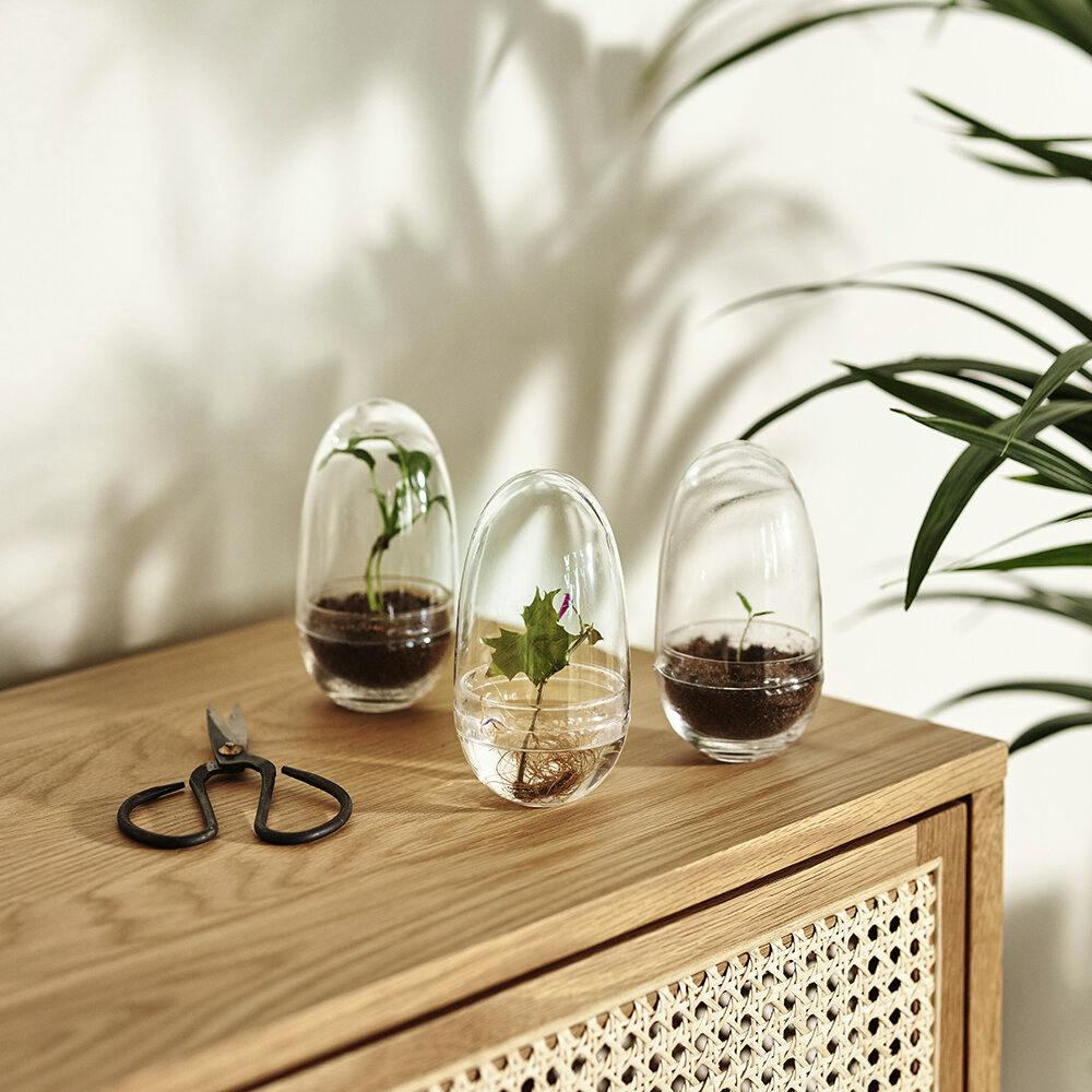 Design House Stockholm Grow Greenhouse, £31