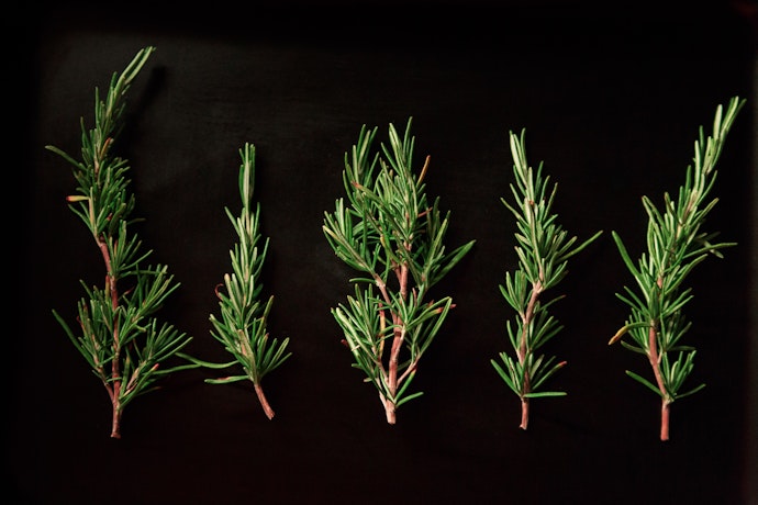 Rosemary-Infused Products To Clarify And Detox