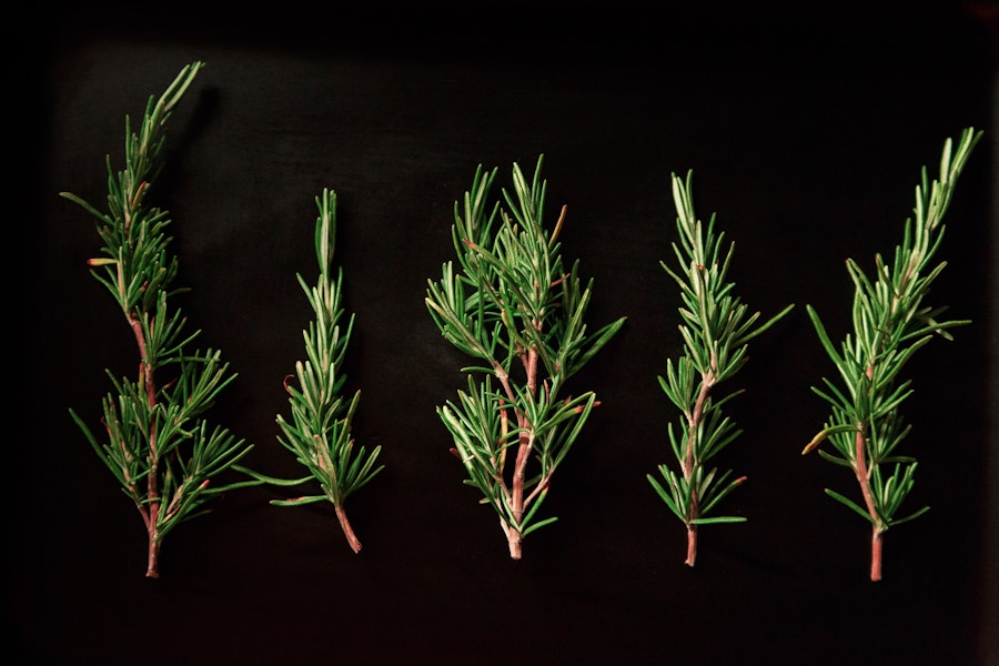 Rosemary-Infused Products To Clarify And Detox