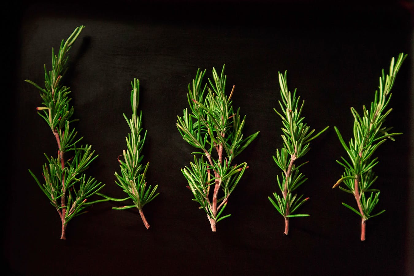 Rosemary-Infused Products To Clarify And Detox