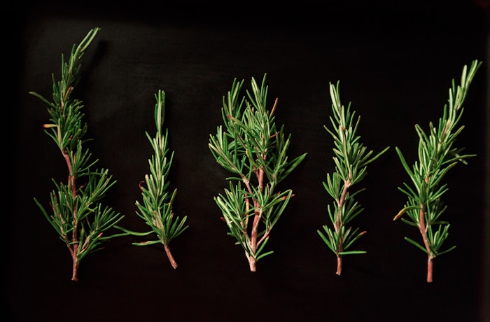 Rosemary-Infused Products To Clarify And Detox