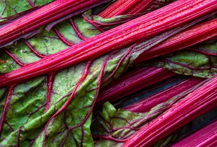 Think Pink: 9 Ravishingly Good Rhubarb Recipes