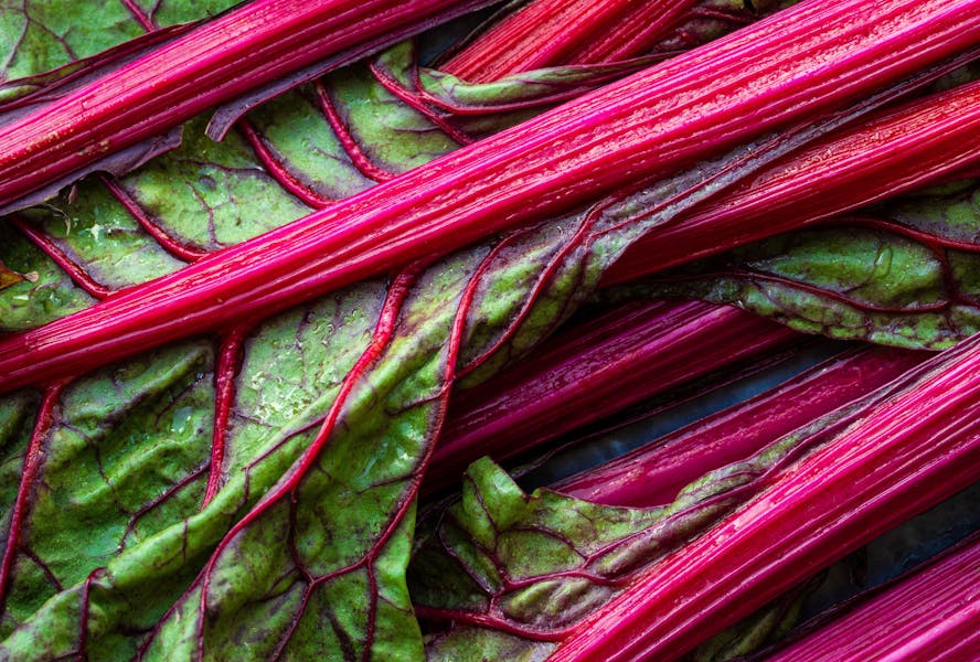 Ravishingly Good Rhubarb Recipes