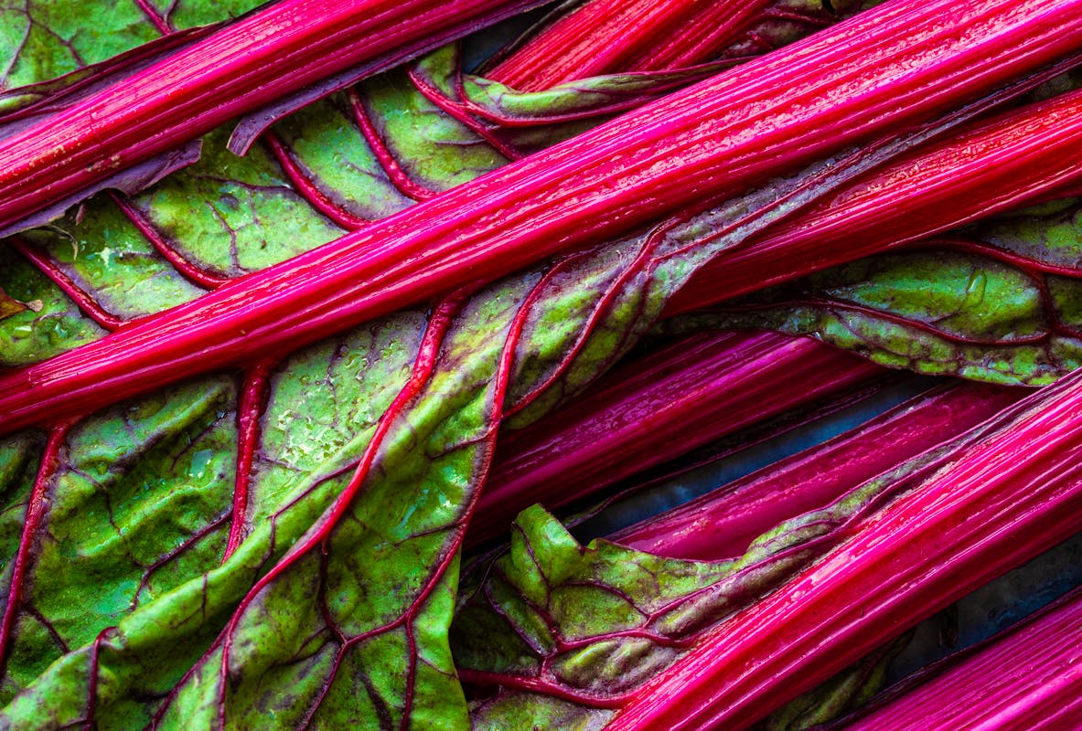 Ravishingly Good Rhubarb Recipes