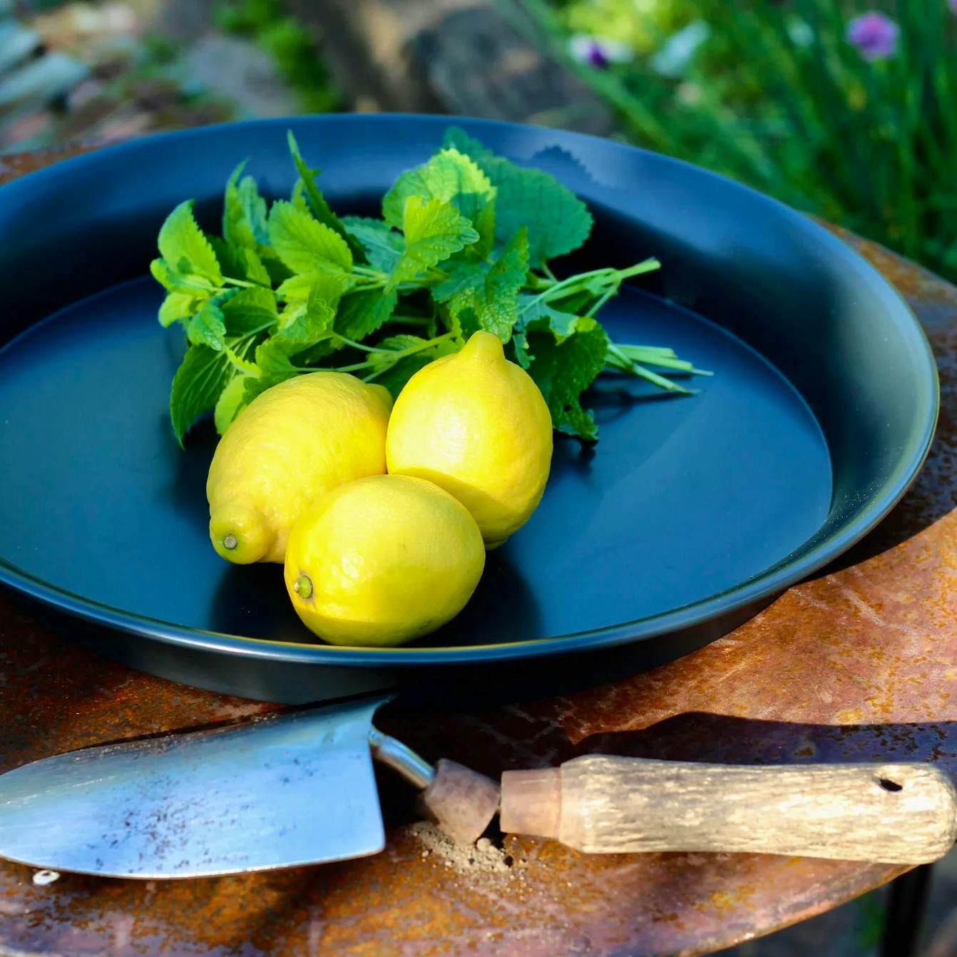 Freight Spun Steel tea Tray, £60