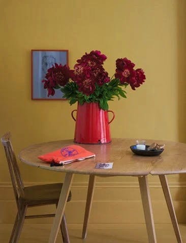 Farrow & Ball India Yellow, from £5.50