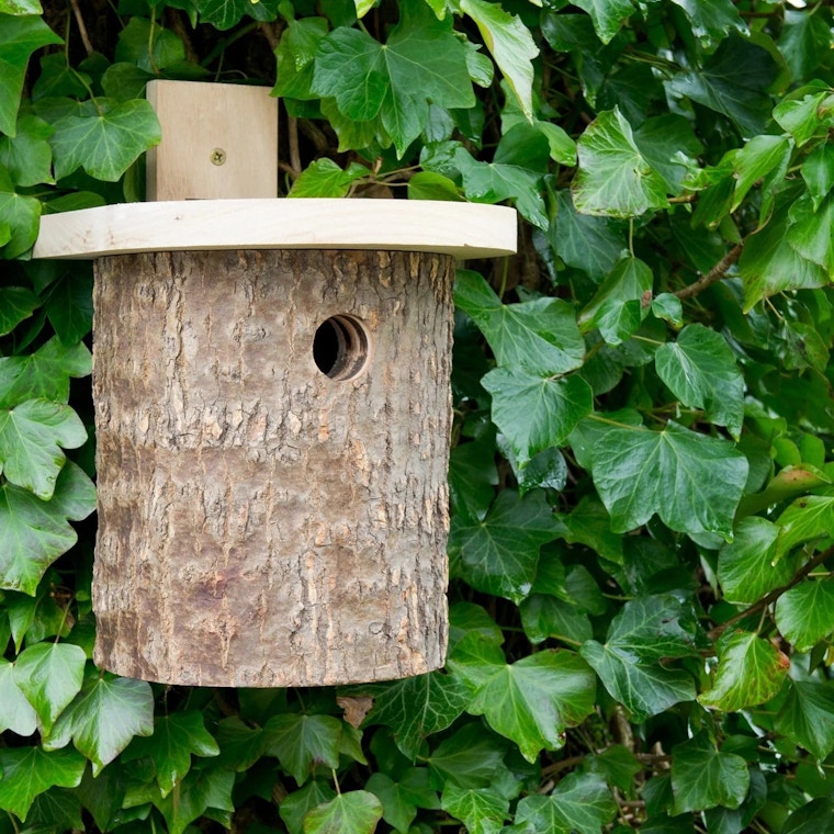 Gardening Sites Wiggly Wigglers Bird Box