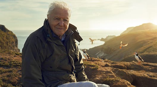 Wild Isles: Invest In Our Native Wildlife Now, Says Sir David Attenborough