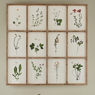 OKA Set Of Twelve Framed Flower prints, £395