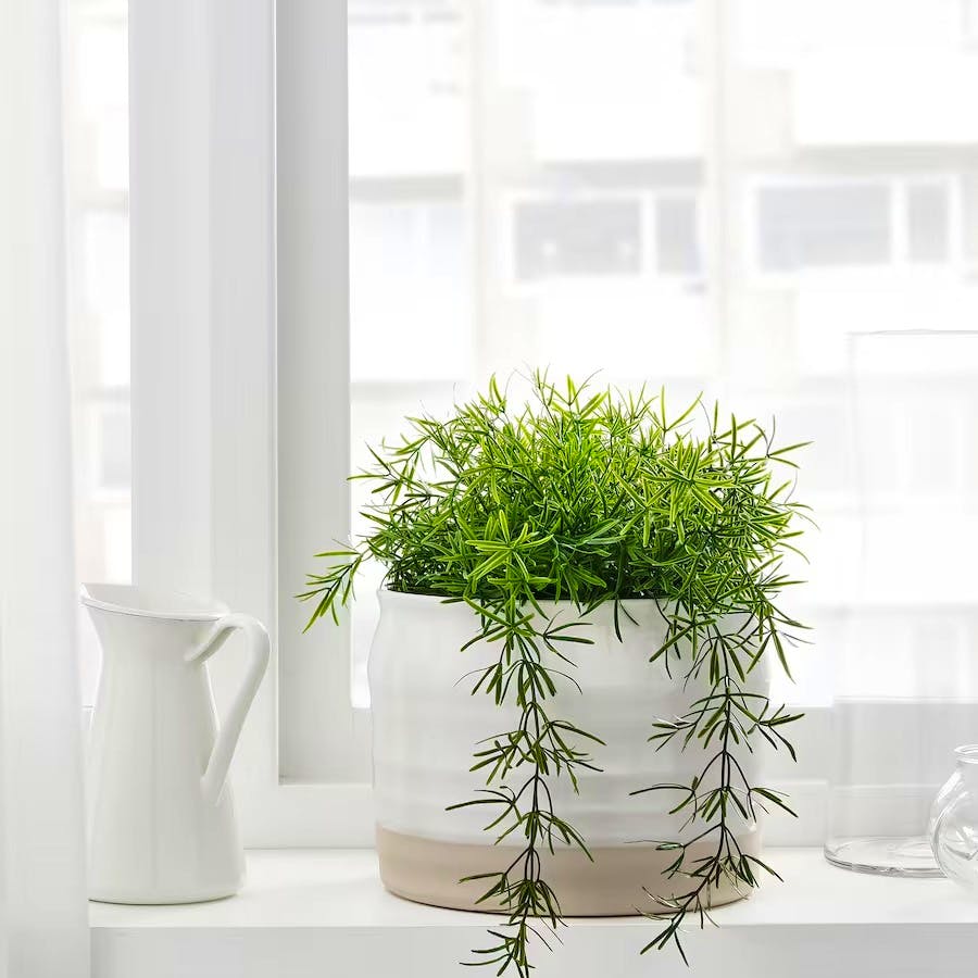 Ikea Flower Vase, £13