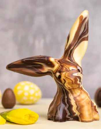 Cocoa Loco