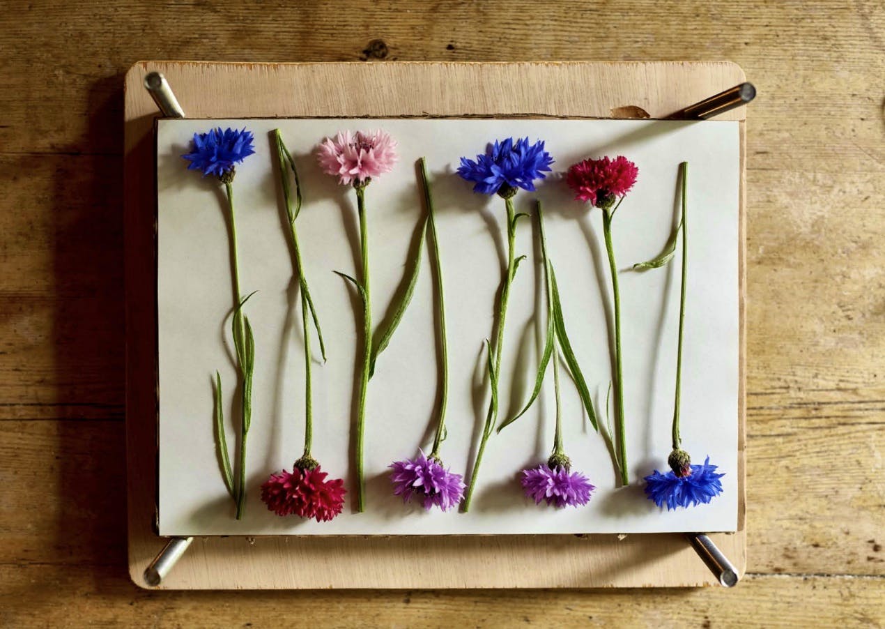 Screenshot 2023-02-06 At 18.43.36