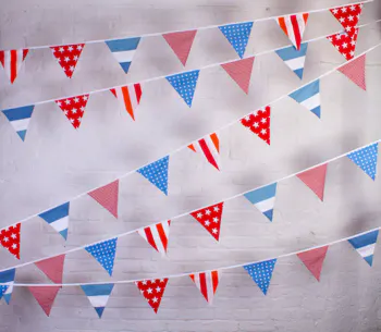 The Cotton Bunting Company
