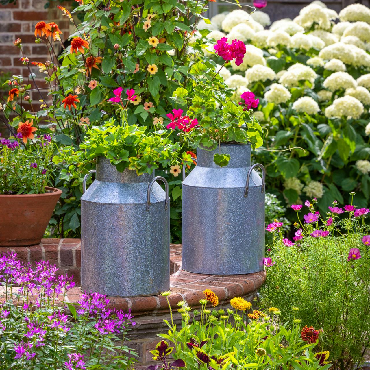 Zinc Milk Churn from £39.95