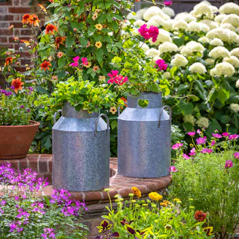 Zinc Milk Churn