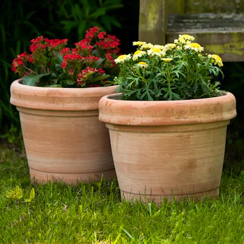 Claudius Terracotta Pot