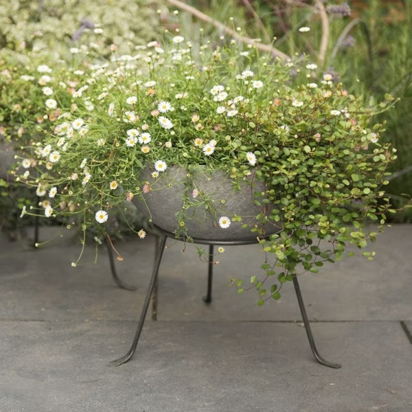 Sphere Planter With Stand Now £44.99