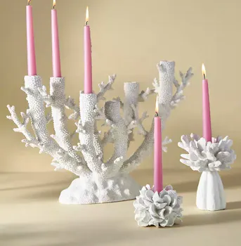 Anthropologie