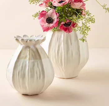 Anthropologie,
