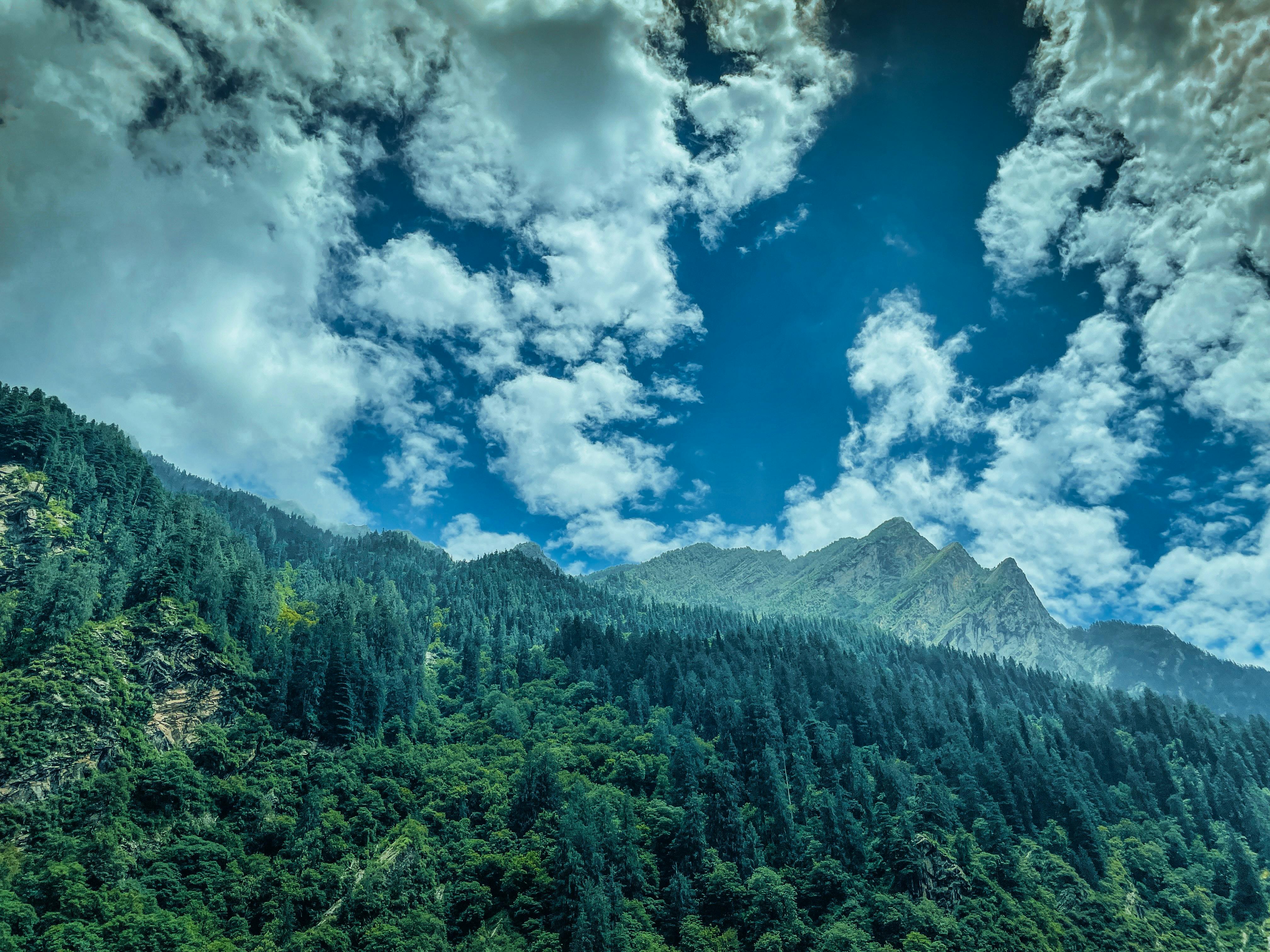 Into The Rewild: 7 Inspiring Rewilding Projects