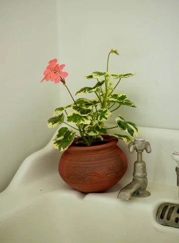 Rowen & Wren Mala Terracotta Pot, £9