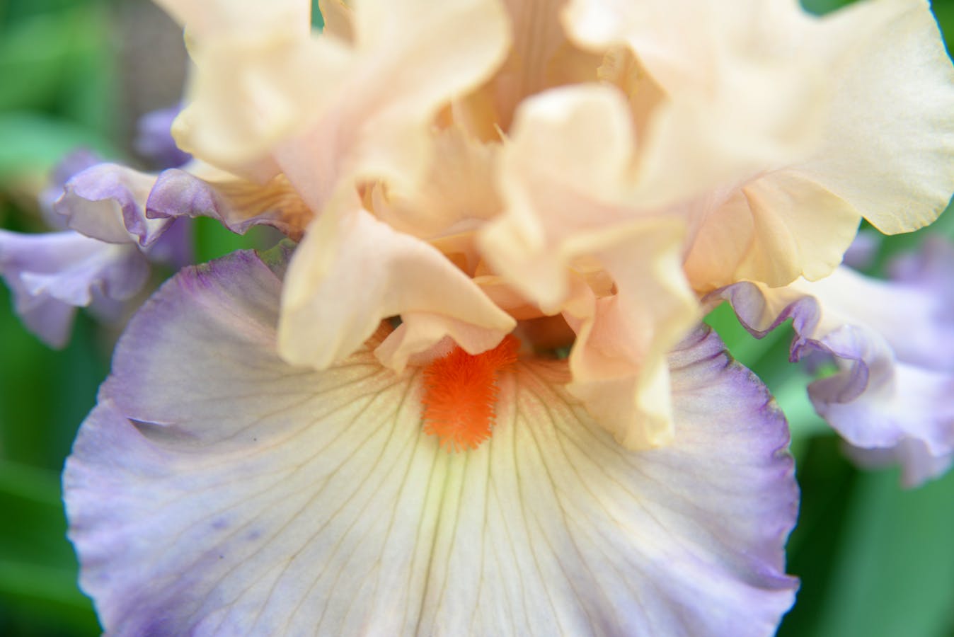 21 Ways To Do Ruffles In The Home