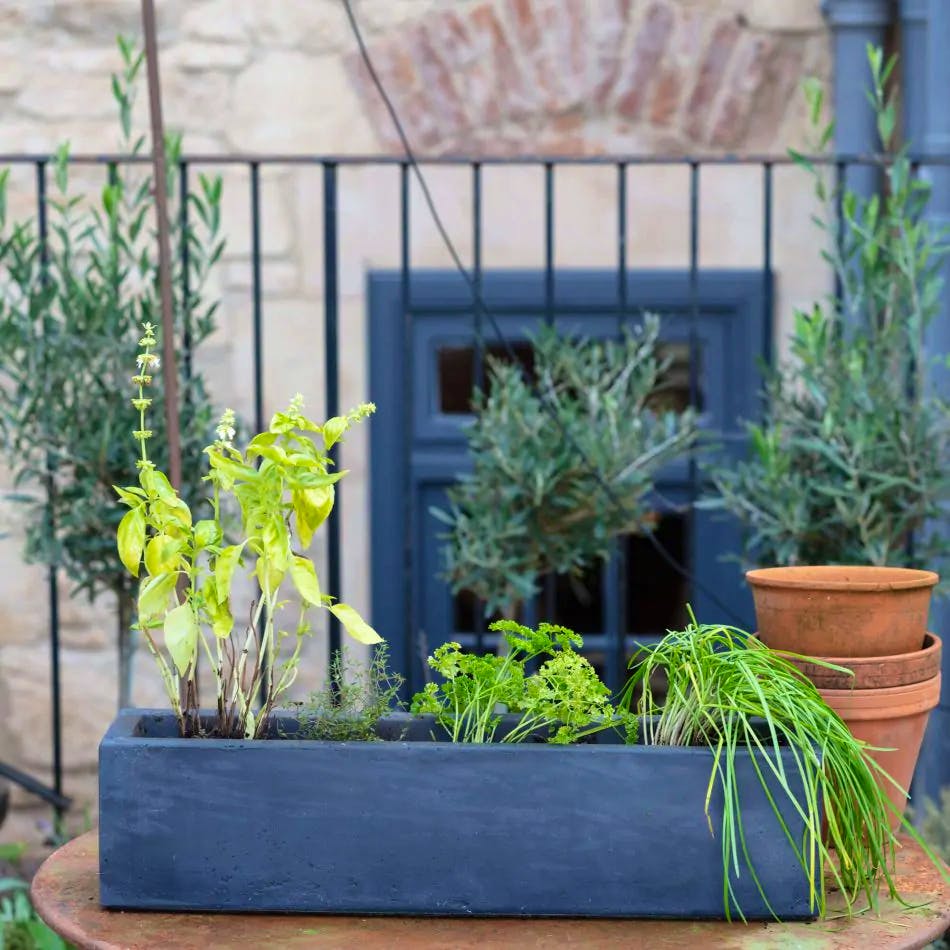 Graham & Green Grey Oblong Planter, £48