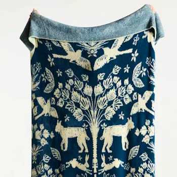 Anthropologie