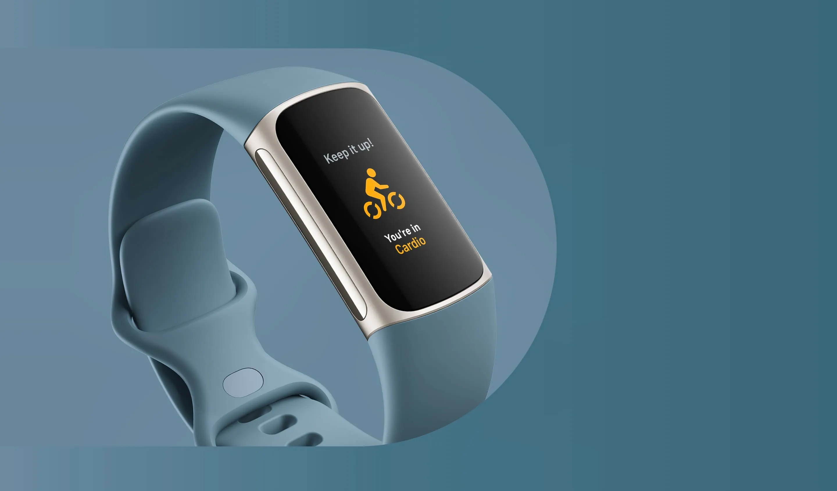 Fitbit Comp Autumn 1