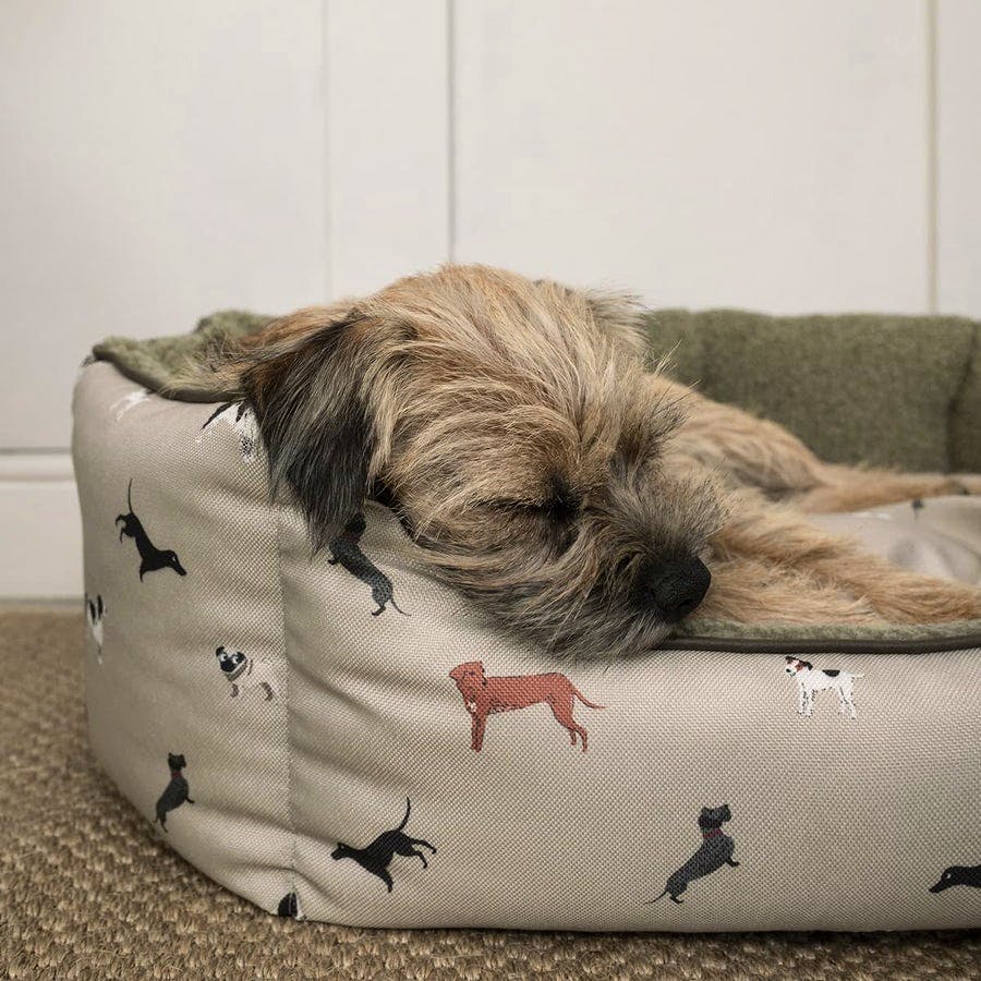 Sophie Allport Woof Pet Bed, Small, £78