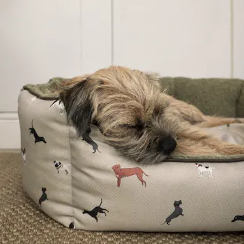 Sophie Allport