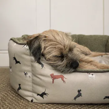 Sophie Allport