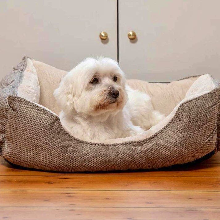 Susie watson outlet dog beds