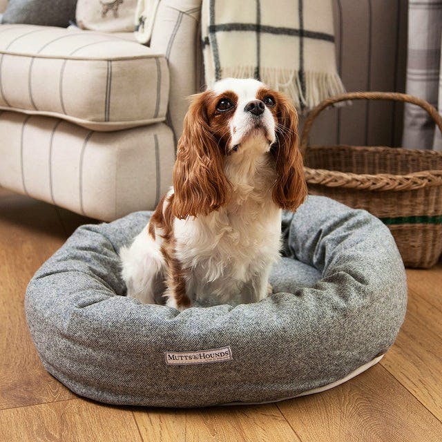 Mutts & Hounds Stoneham Tweed Donut Dog Bed, from £140