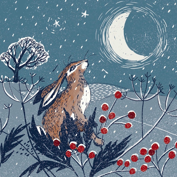RSPCA Moon Gazing Christmas Cards, Pack of 10, £5.50